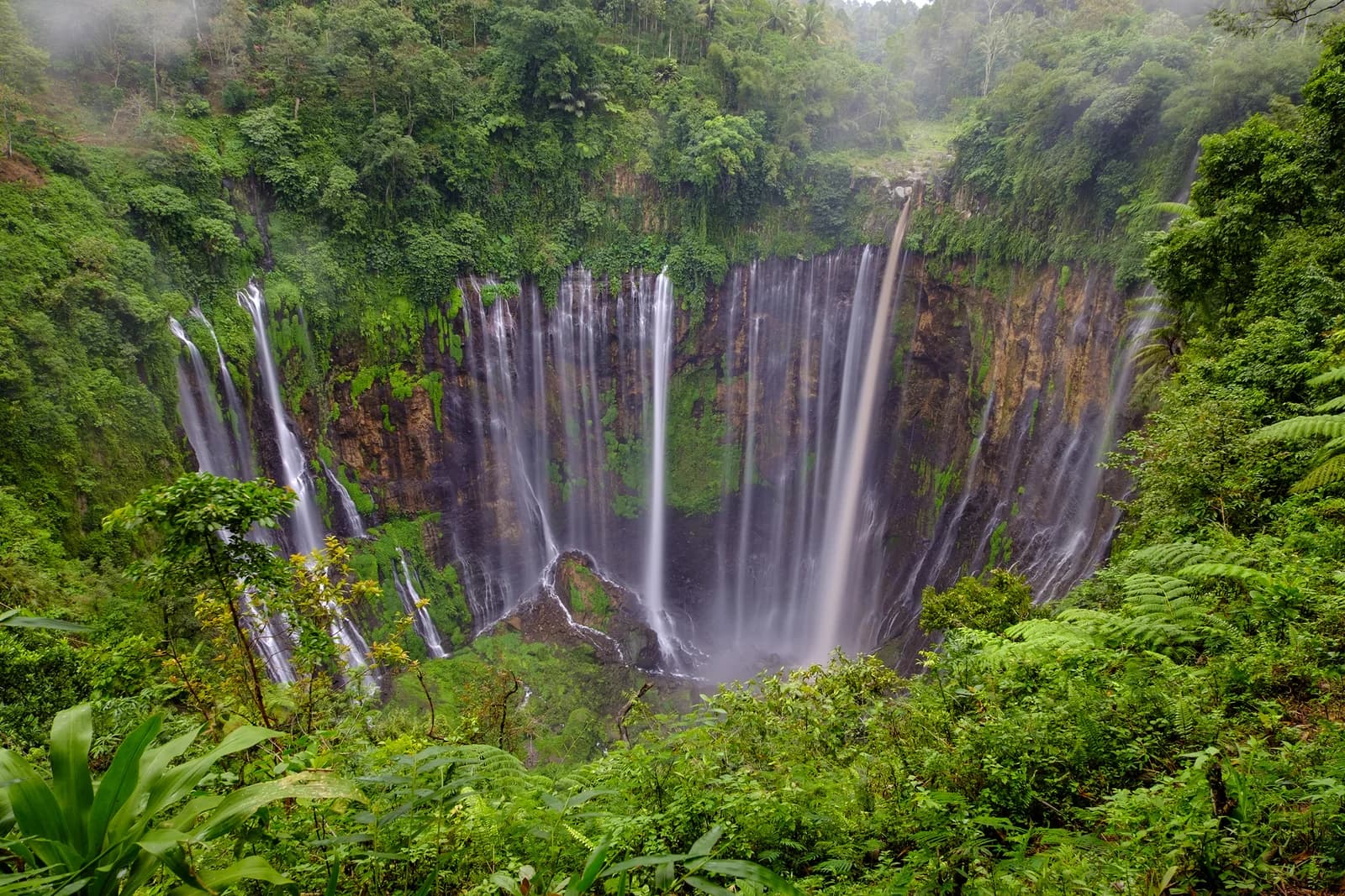 Tumpak Sewu from above, with many streams falling over a curved cliff