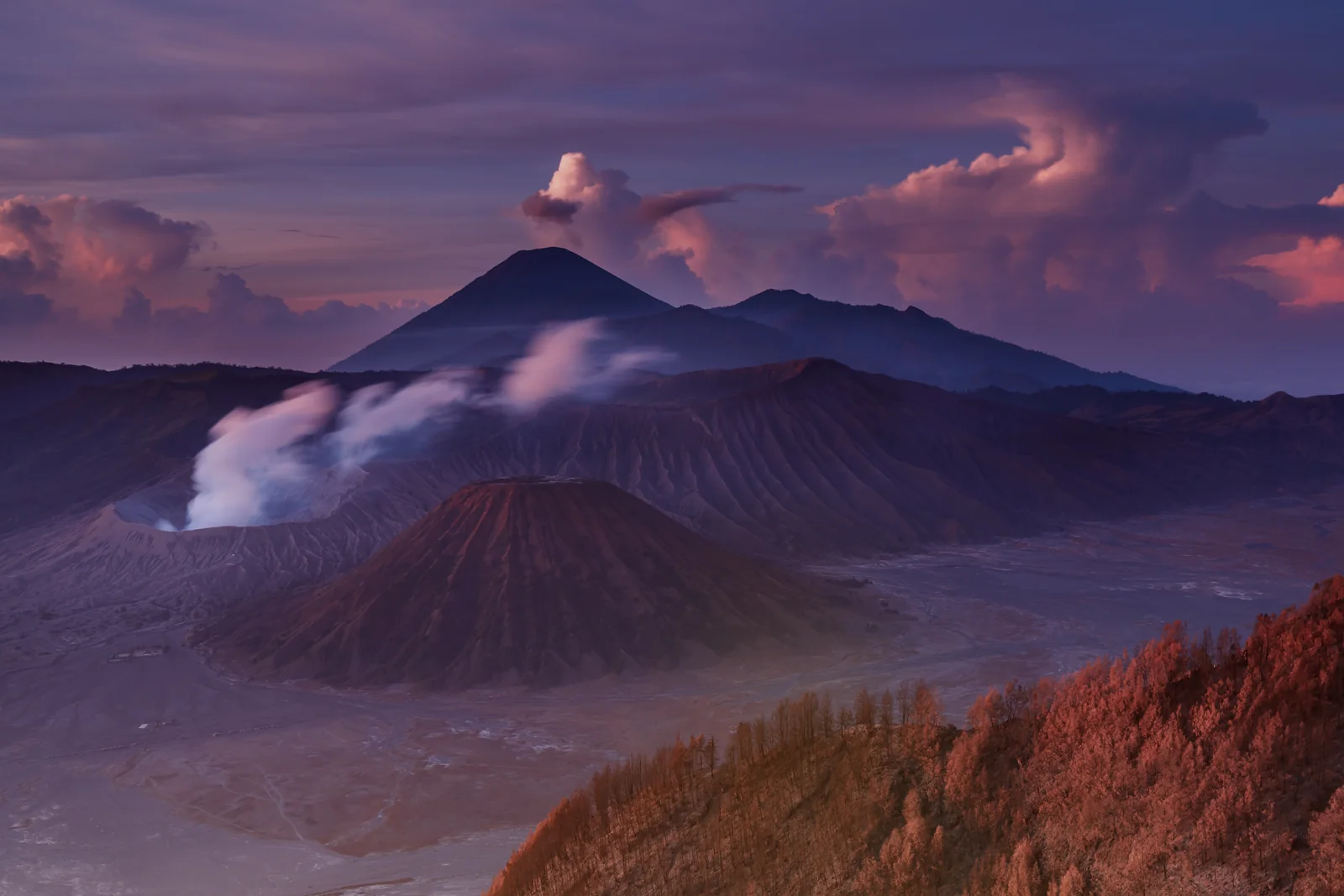 Bromo po lewej, stożek Batok na pierwszym planie i Semeru w tle w świetle świtu
