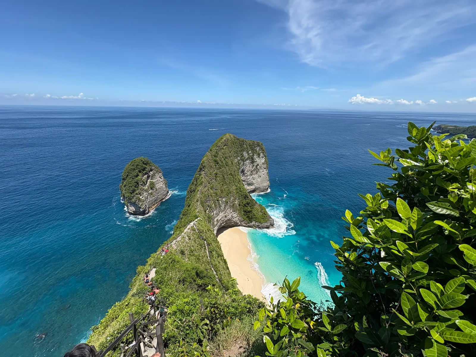 The green T-Rex-shaped headland and turquoise bay at Kelingking Beach on Nusa Penida