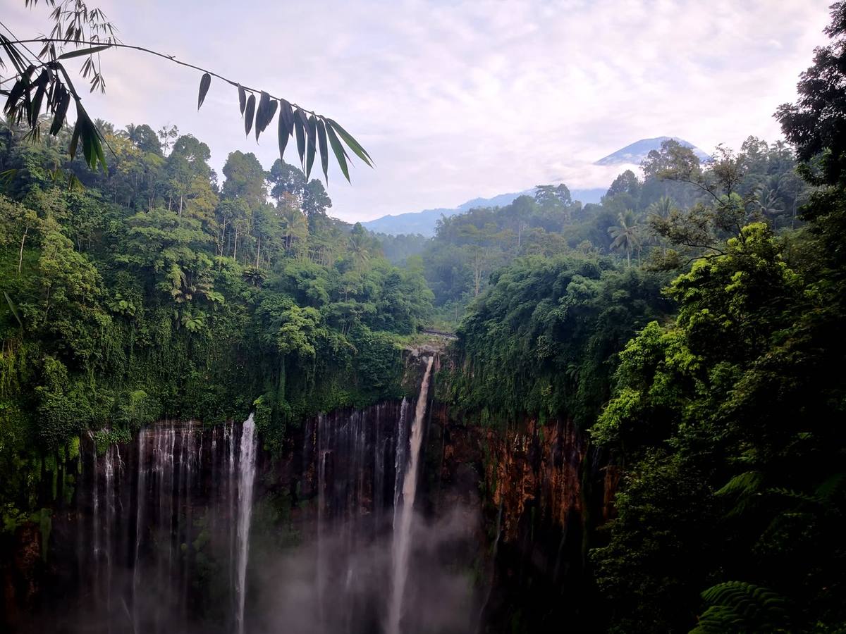 Tumpak Sewu from the upper viewpoint: a wall of cascades dropping into the canyon, jungle all around and a volcanic peak behind
